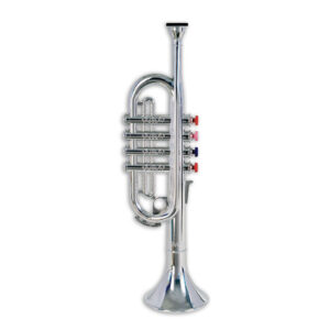 TROMBA A 4 PISTONI BONTEMPI